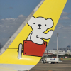 羽田空港 ベア・ドゥ