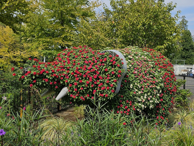 花で出来たゾウ　里山ガーデンフェスタ2025