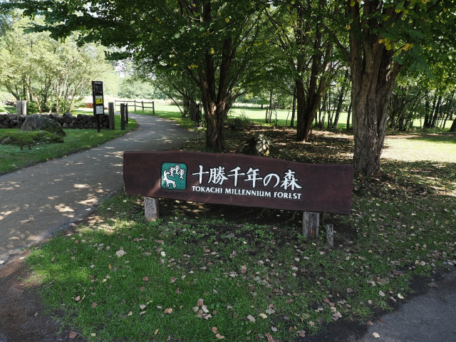 十勝千年の森