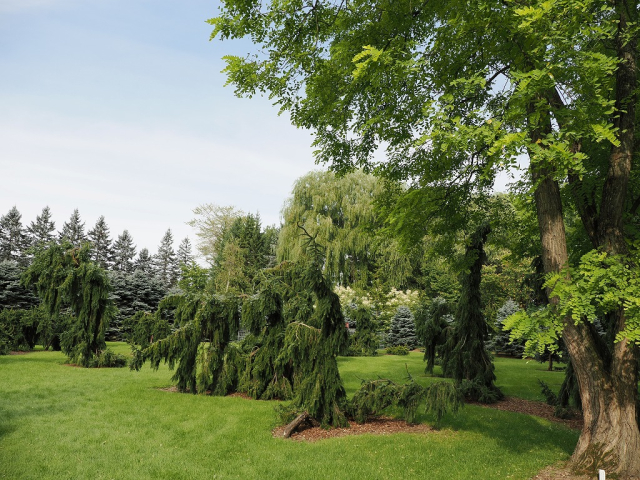 真鍋庭園　モンスターガーデン