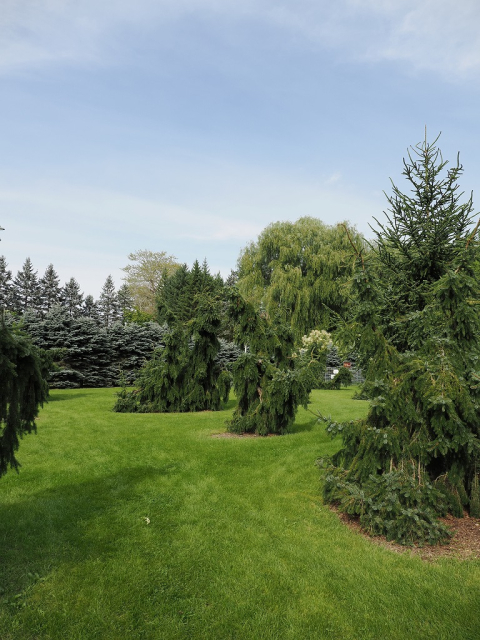 真鍋庭園　モンスターガーデン