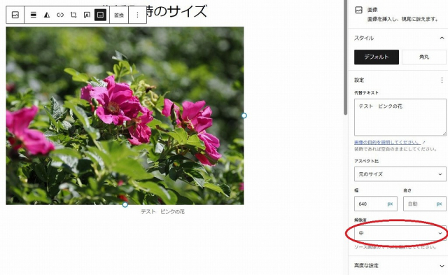 画像　解像度　中