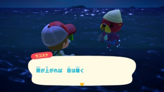 雨が上がれば　目は開く