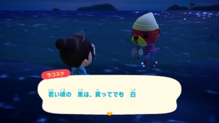 若い頃の　黒は、買ってでも　白