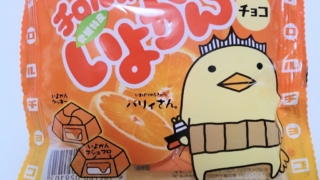 チロルのいよかん　チョコ