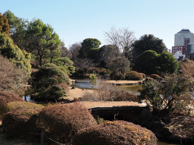 小石川植物園