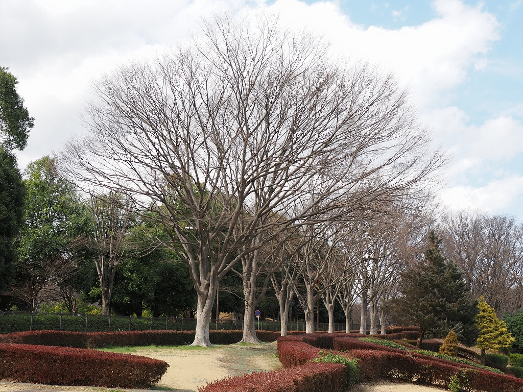 神奈川県立相模原公園