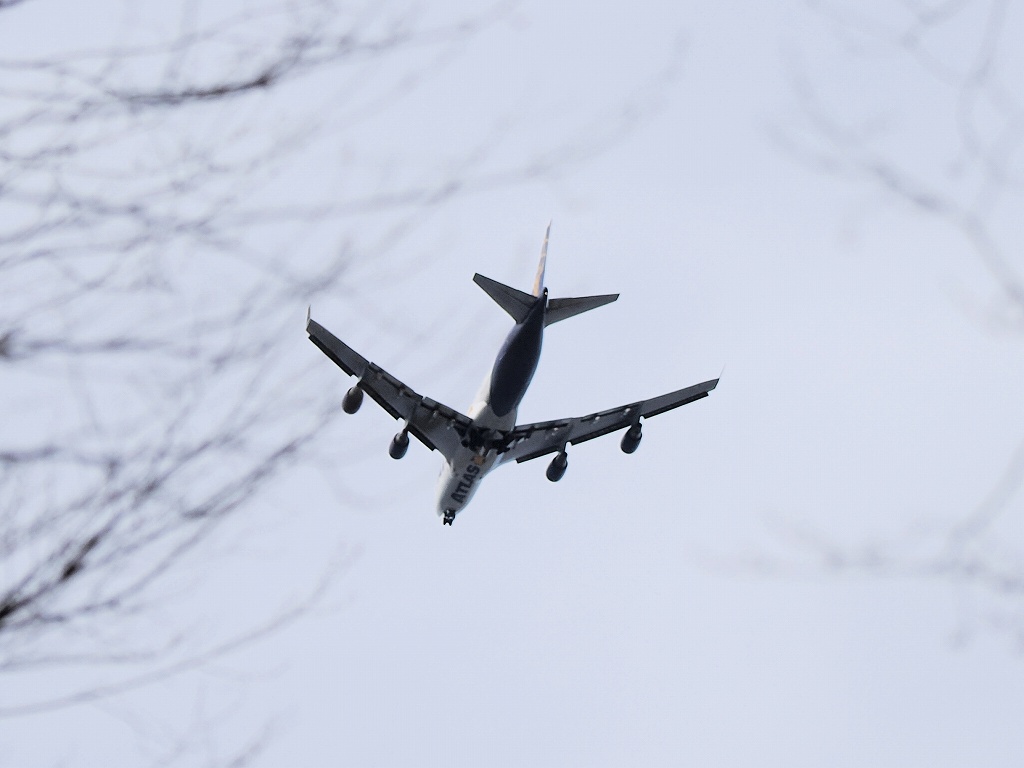 飛行機