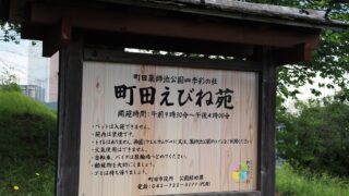 えびね苑の看板
